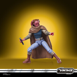 Devon Izara The Vintage Collection 2026 action figure